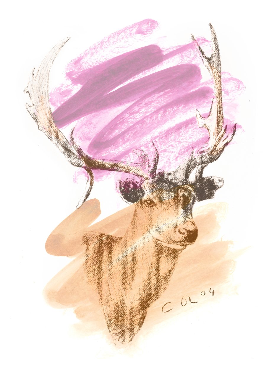 Hirvenpää - Cerise Sienna, 2004 (öljy ja conte paperille) tekijältä Christian Furr