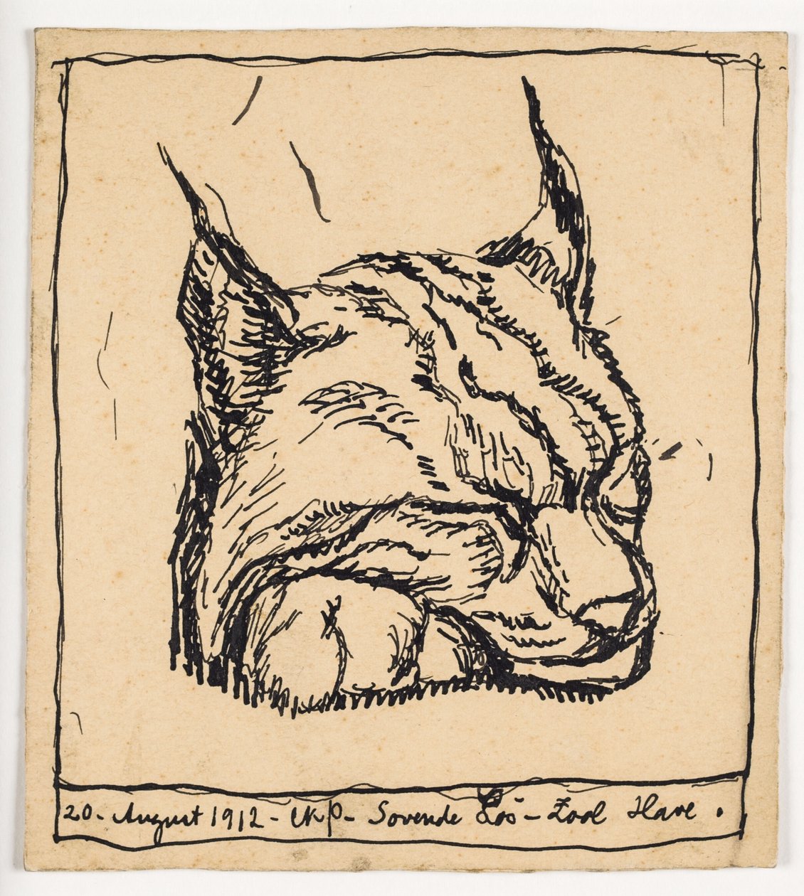 "Sleeping Lose" tekijältä Christian Kongstad Petersen