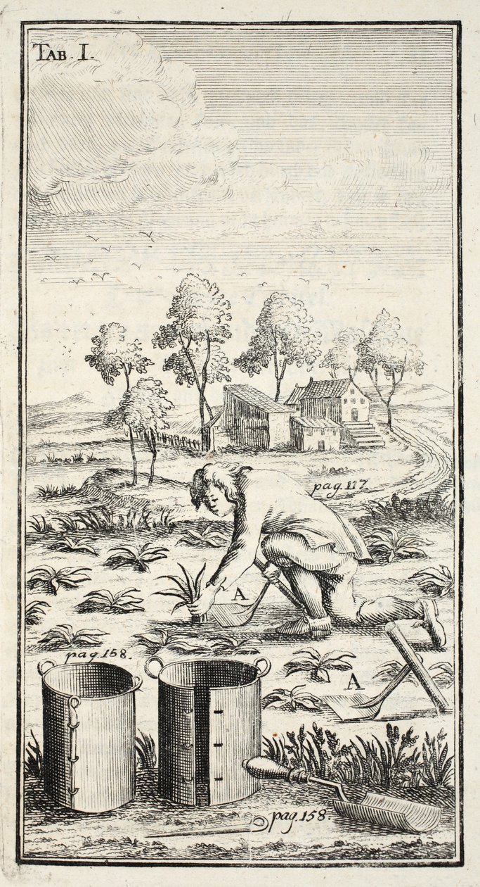 Puutarhurin sadonkorjuu, pub. Erfurt Thüringenissä, 1753-55 tekijältä Christian Reicharts