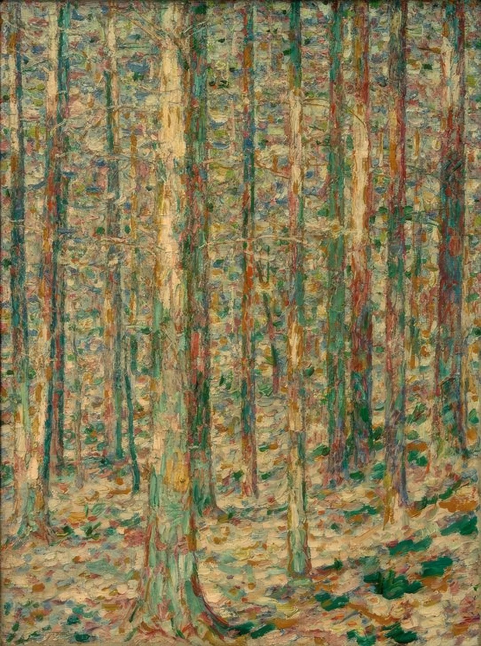 Kiefernstämme im Sonnenlicht tekijältä Christian Rohlfs