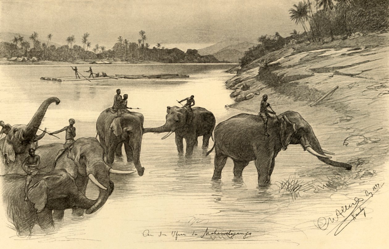Norsuja Mahaweli-joen rannalla, Ceylon, 1898. tekijältä Christian Wilhelm Allers