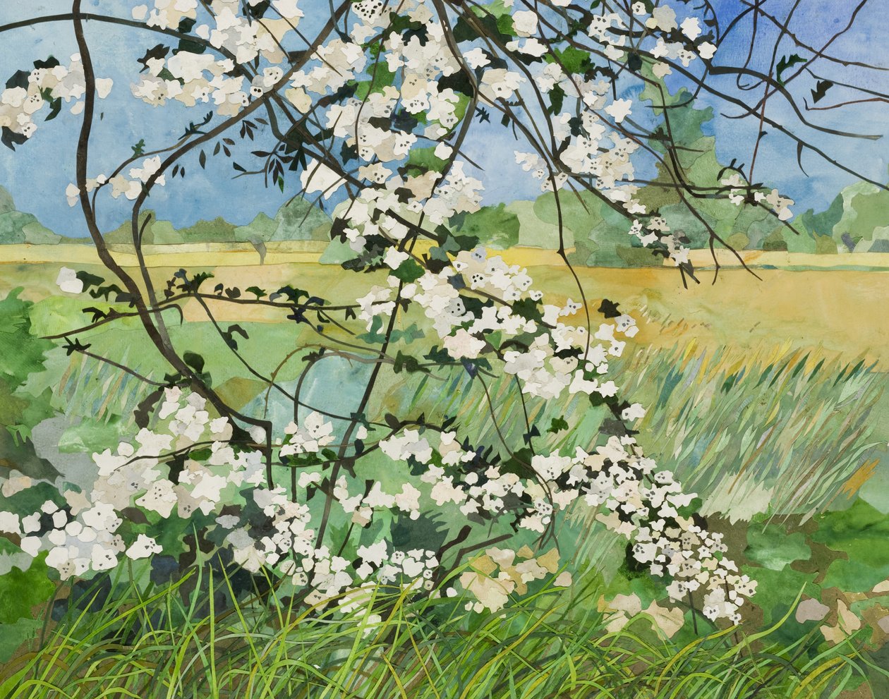 Blossom Tree, 2015 (vesivärillä maalattu paperikollaasi) tekijältä Christine McKechnie