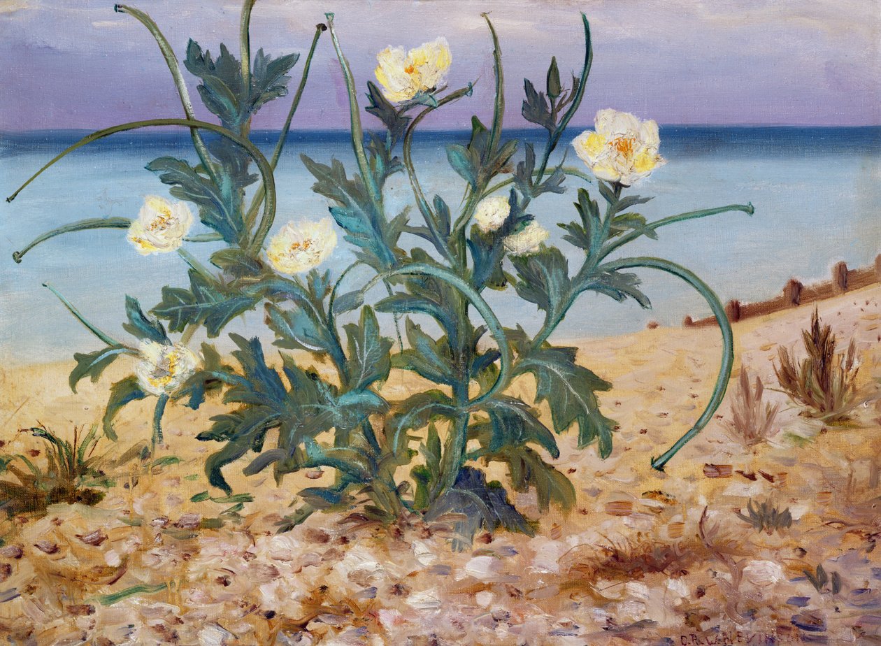 Hiekkadyynit, itärannikko, 1944 tekijältä Christopher Richard Wynne Nevinson