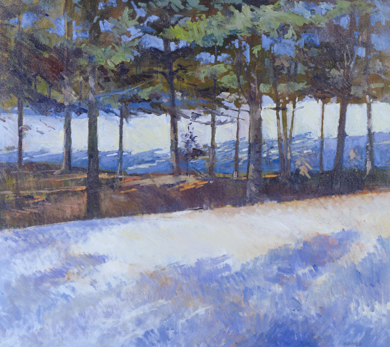 Frozen Lake, New Yorkin osavaltio (öljy kankaalle) tekijältä Christopher Glanville
