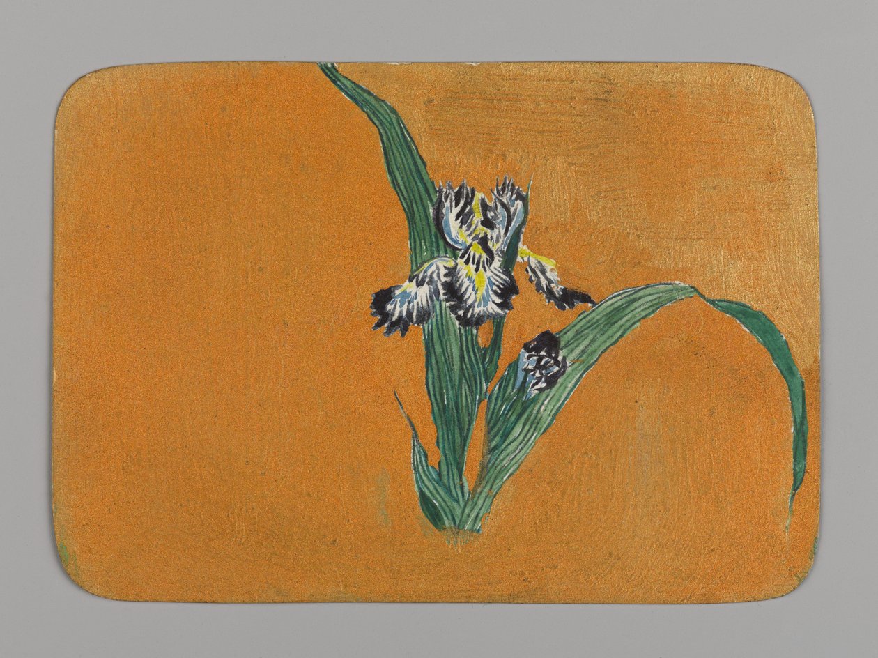 Pieni kortti, jossa iiris, n. 1880. Akvarelli ja metallinen muste tekijältä Christopher Grant La Farge