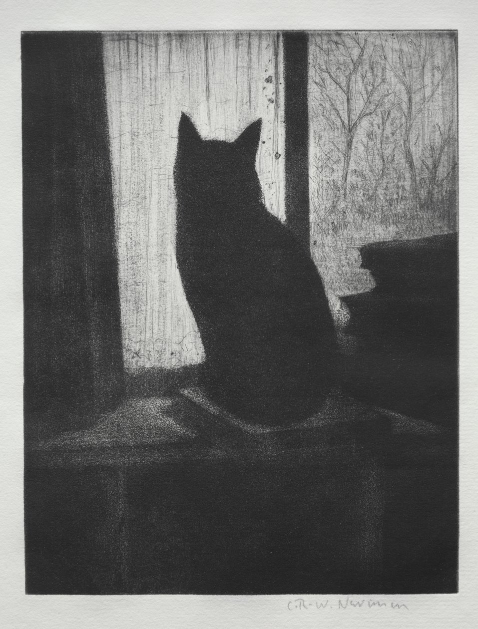 Kissa tekijältä Christopher Richard Wynne Nevinson