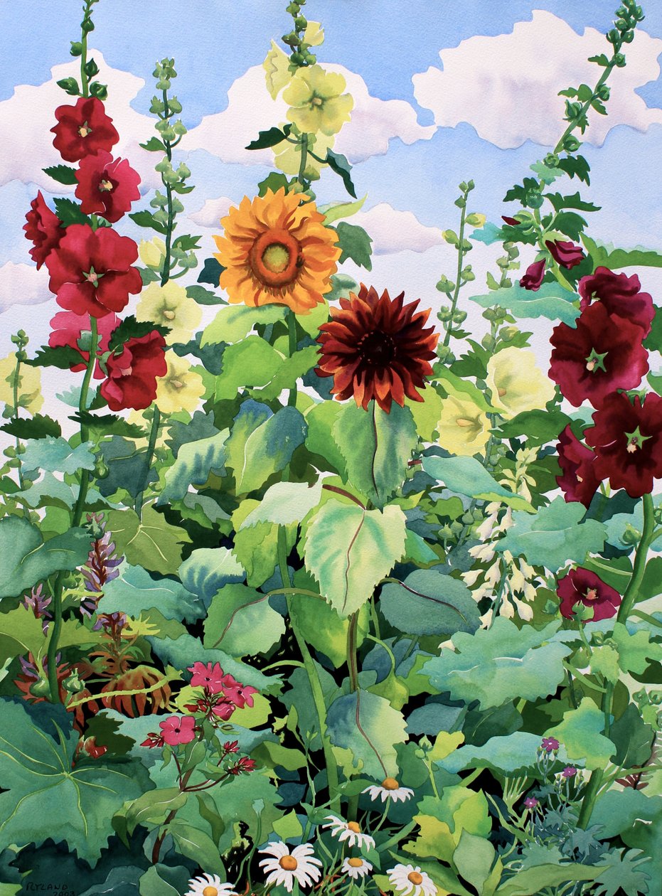 Hollyhocks ja auringonkukat (akvarelli paperille) tekijältä Christopher Ryland