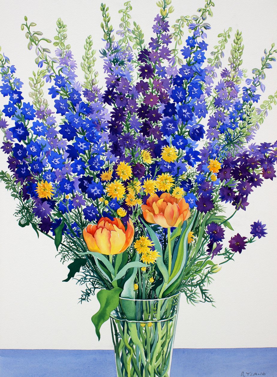 Larkspur ja Delphinium (vesiväri paperille) tekijältä Christopher Ryland