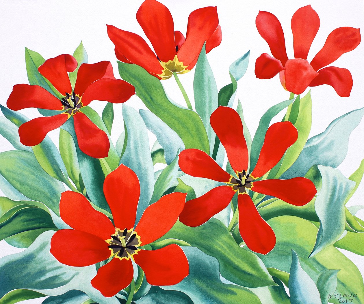 Madame Lefeber Tulppaanit 2 (akvarelli paperille) tekijältä Christopher Ryland