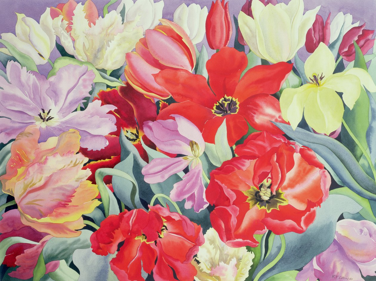 Tulppaanit, 2003 (wc paperilla) tekijältä Christopher Ryland