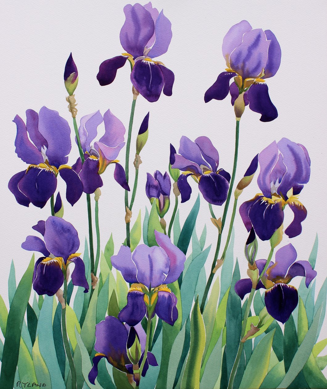 Purppuraiset iirikset tekijältä Christopher Ryland