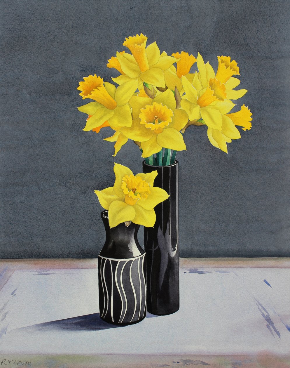 Still Life Narsissit (akvarelli paperille) tekijältä Christopher Ryland