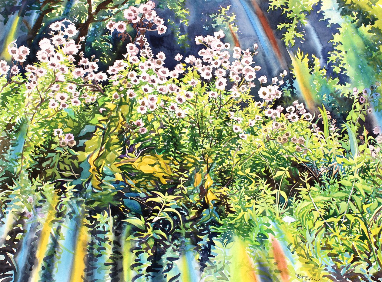 Thistledown, 2016 (akvarelli paperille) tekijältä Christopher Ryland