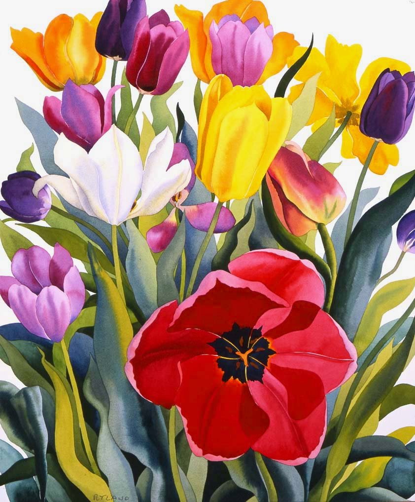 Tulppaanit, 2007 (akvarelli paperille) tekijältä Christopher Ryland