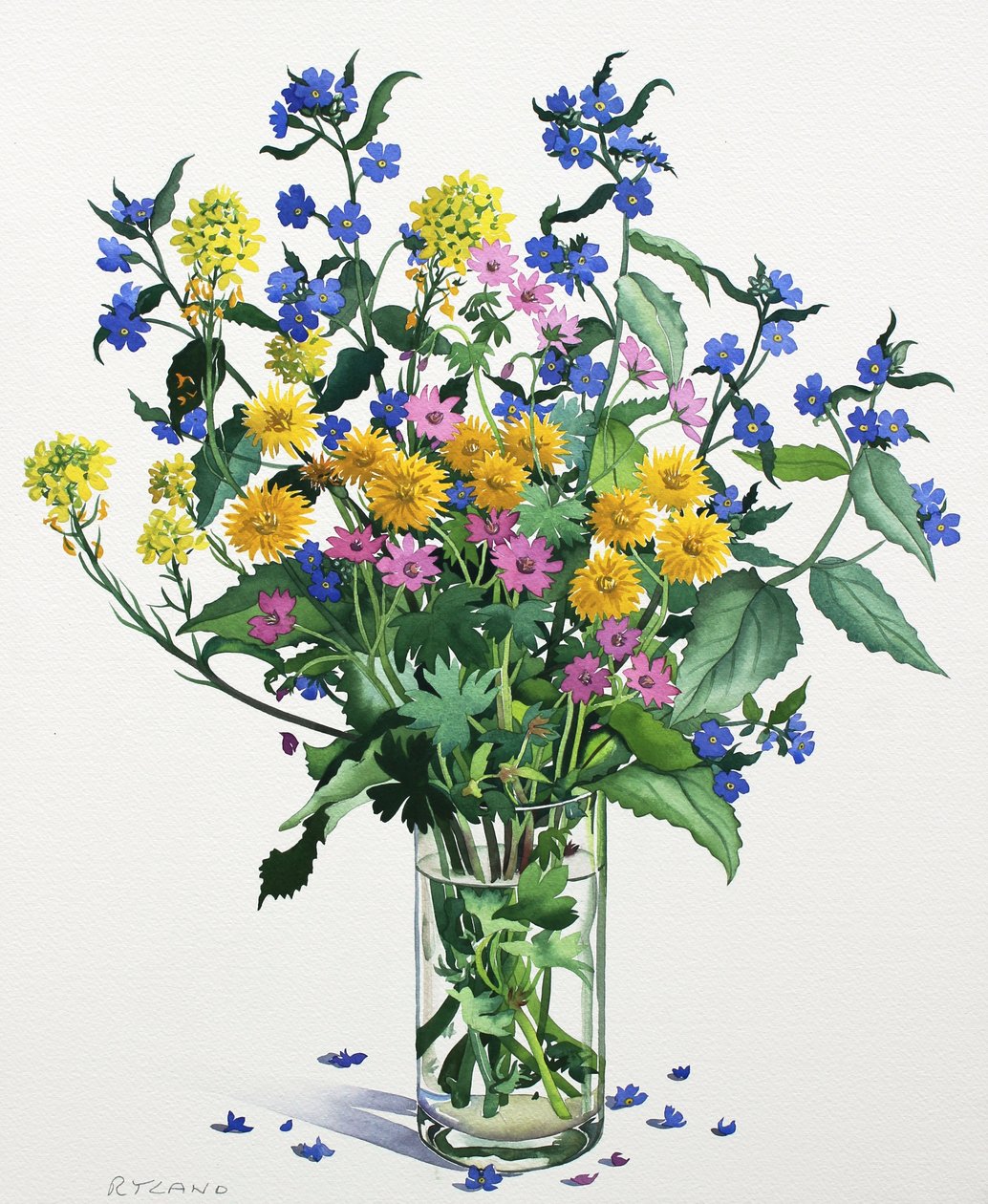 Wild Flowers with alkanet, 2021 (akvarelli paperille) tekijältä Christopher Ryland