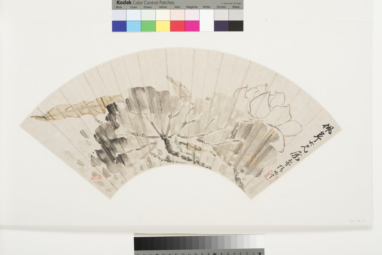 Lootuksenkukka ja lehdet, 1800-luvun alku (muste ja vaaleat värit kiillehohtoiselle paperille kartongille kiinnitettynä). tekijältä Cining Zhang