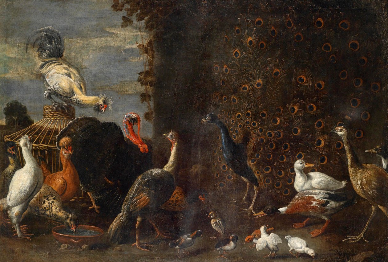 Hühnerhof mit Pfau Truthahn und Enten tekijältä Circle of Adriaen van Utrecht