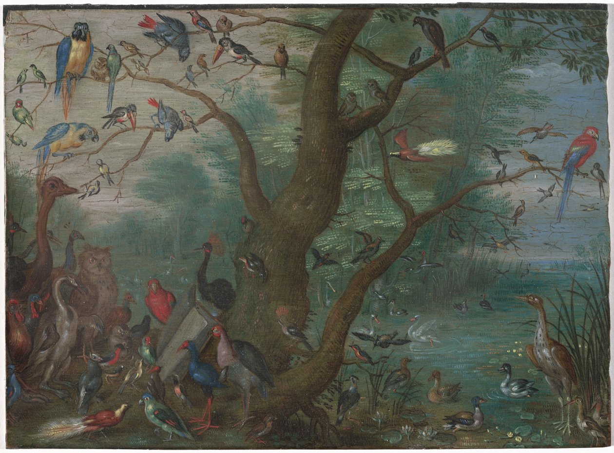 Lintujen konsertti tekijältä Circle of Jan van Kessel the Elder