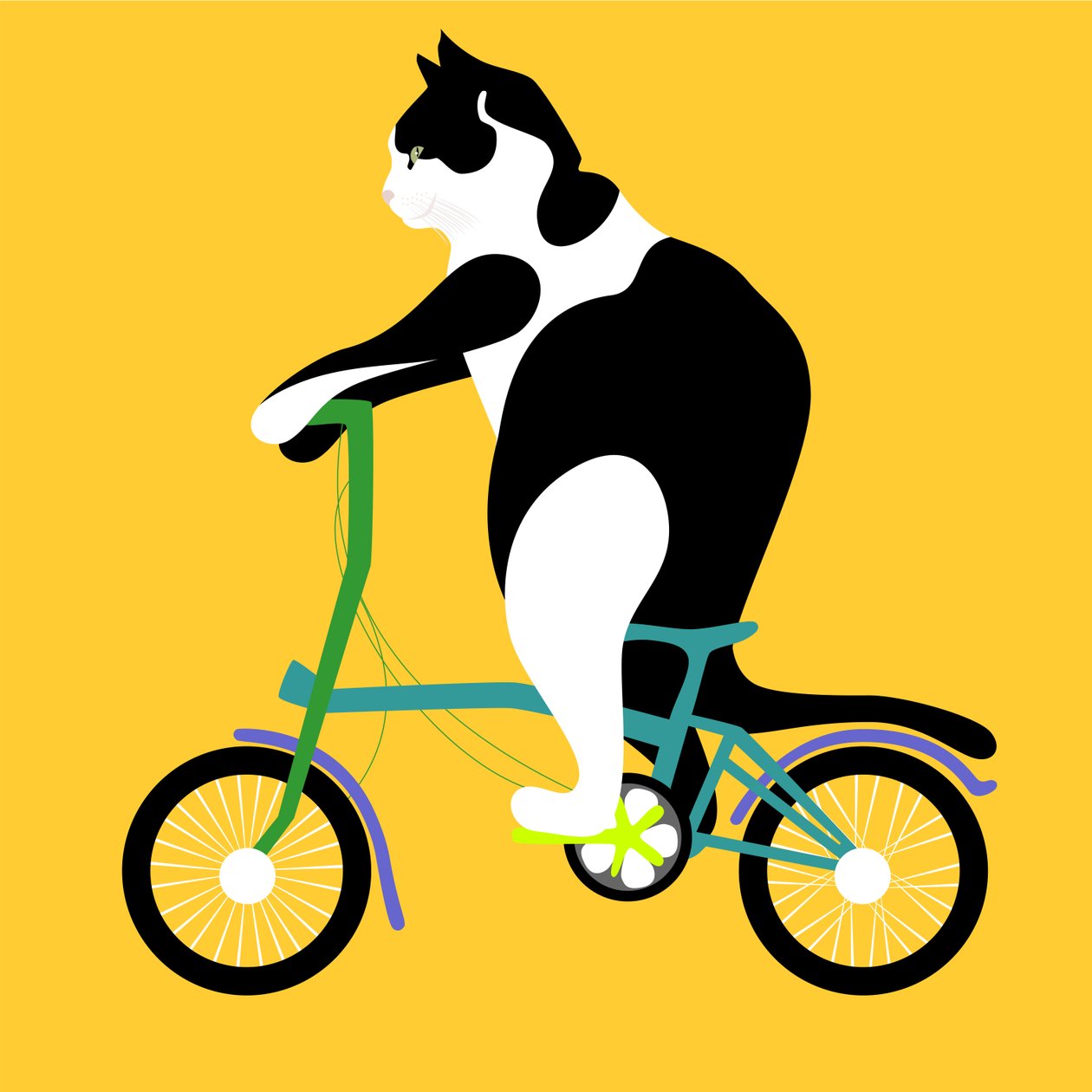 Kissa Brompton-pyörällä tekijältä Claire Huntley