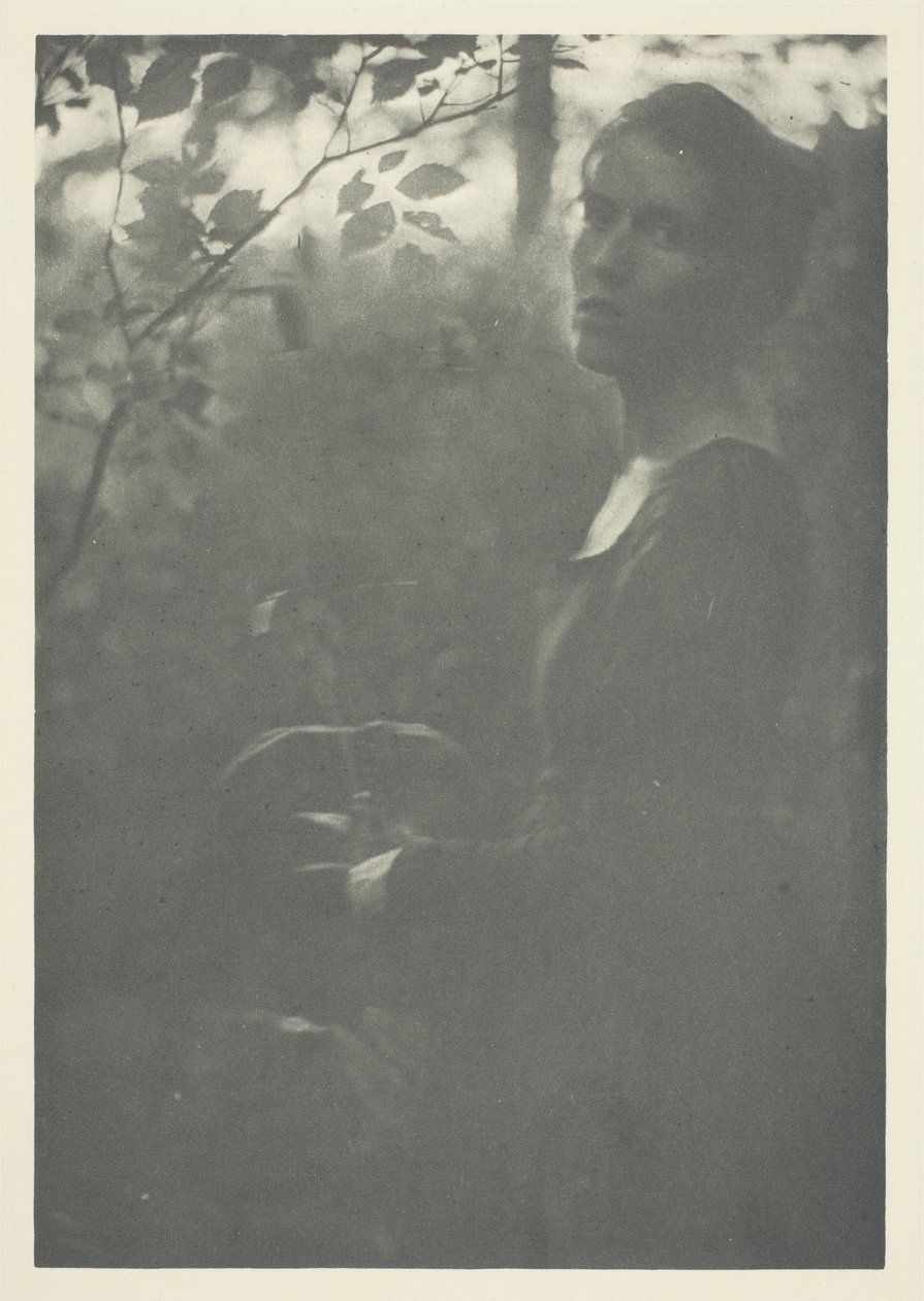 Edge of Woods tekijältä Clarence H. White
