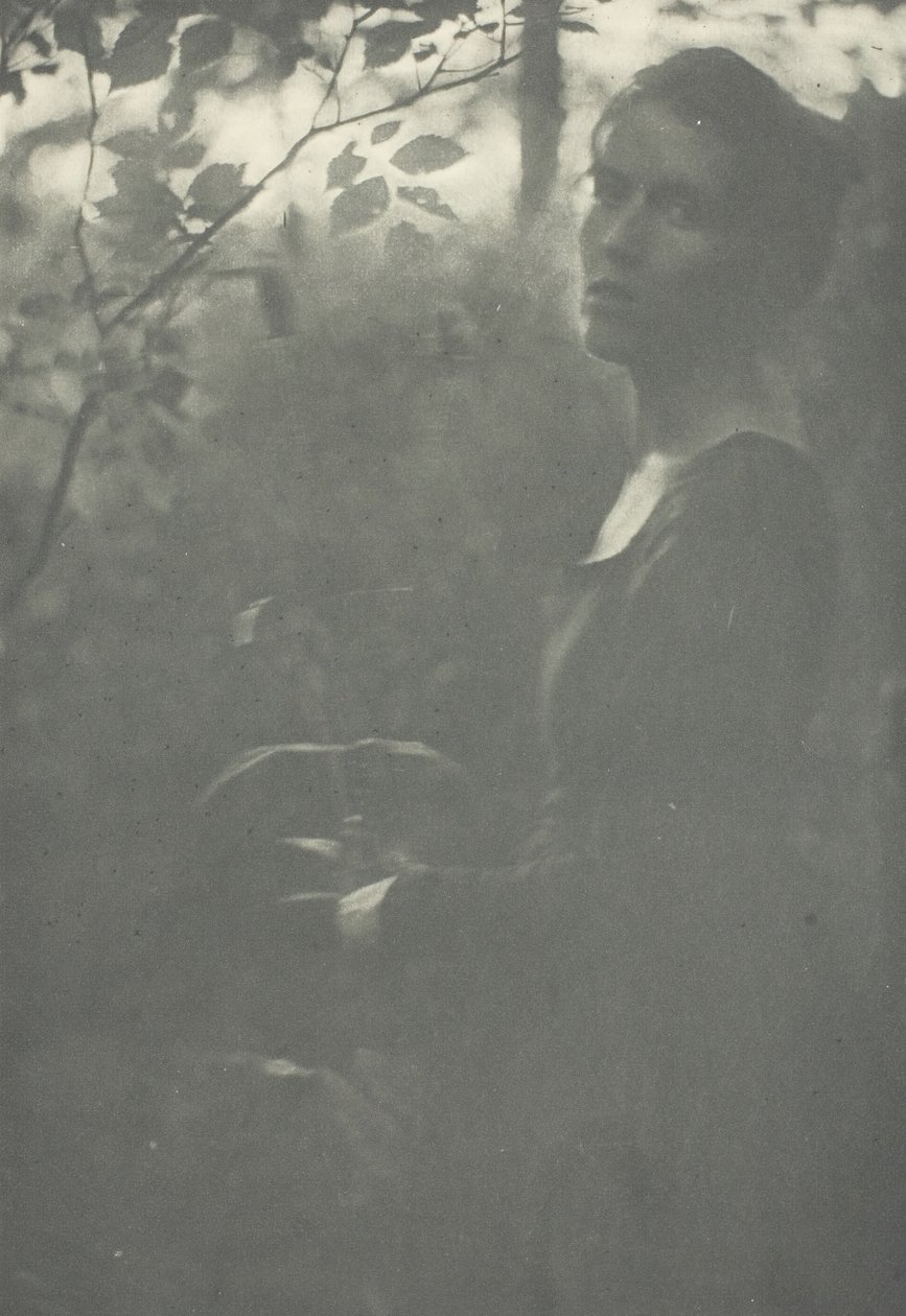Edge of Woods, c. 1899. tekijältä Clarence H White