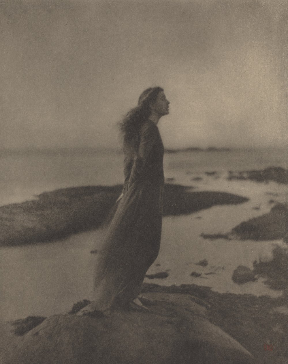 Rose Pastori Stokes tekijältä Clarence H. White