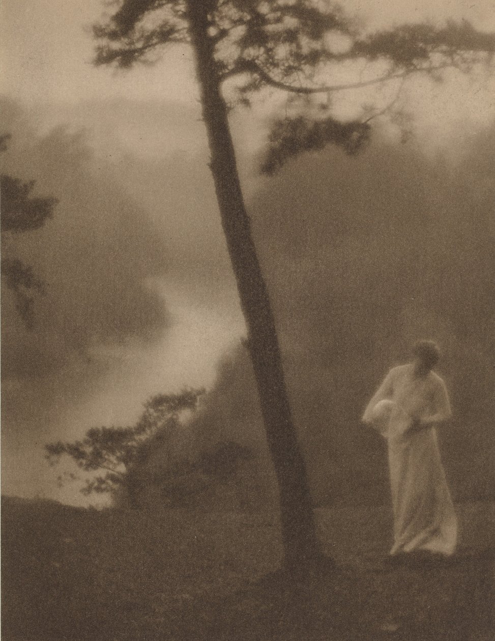 Aamu, noin 1905 (kuva) tekijältä Clarence Henry White