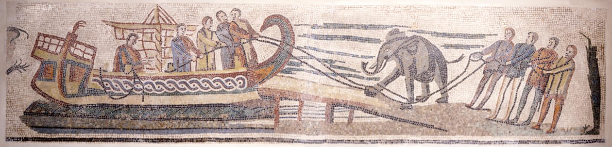 Elefantin kyytiin laivaan tekijältä Classical Antiquities