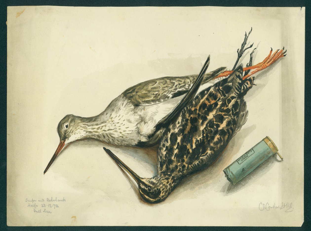 Snipe and Redshank, 1872 (wc ja kynä paperille) tekijältä Claude Conder