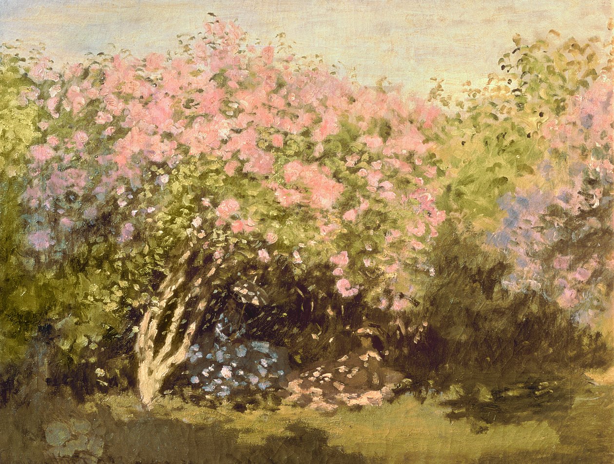 Lila auringossa, 1873 tekijältä Claude Monet