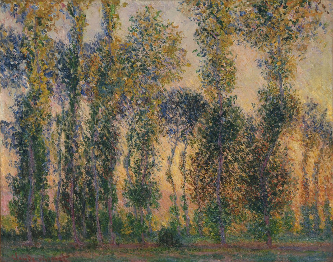 Givernyn poppelit, auringonnousu tekijältä Claude Monet