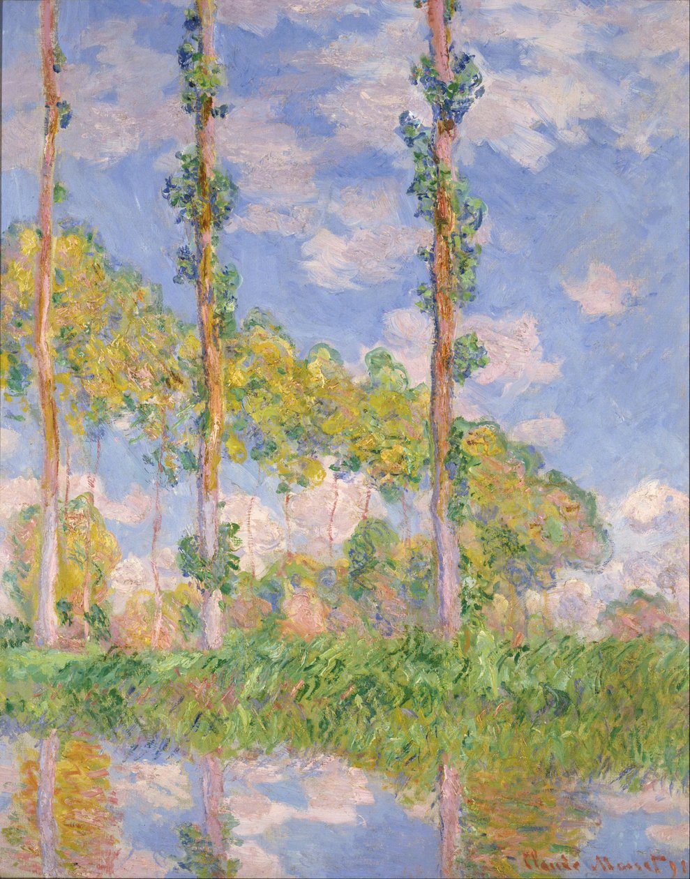 Poppelit auringossa tekijältä Claude Monet