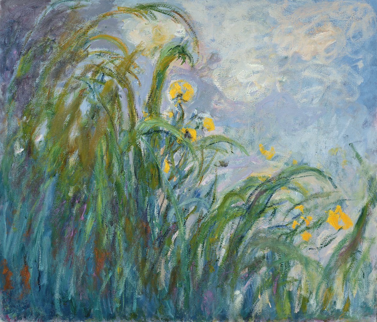 Keltainen iiris (katso yksityiskohdat 414406) tekijältä Claude Monet