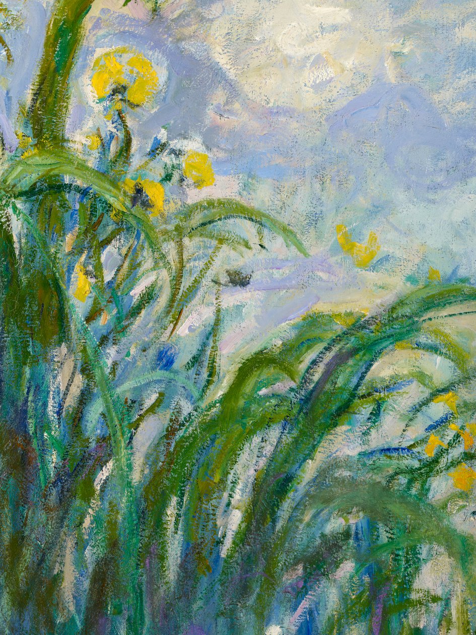 Yellow Iris yksityiskohta 154652 öljy kankaalle tekijältä Claude Monet