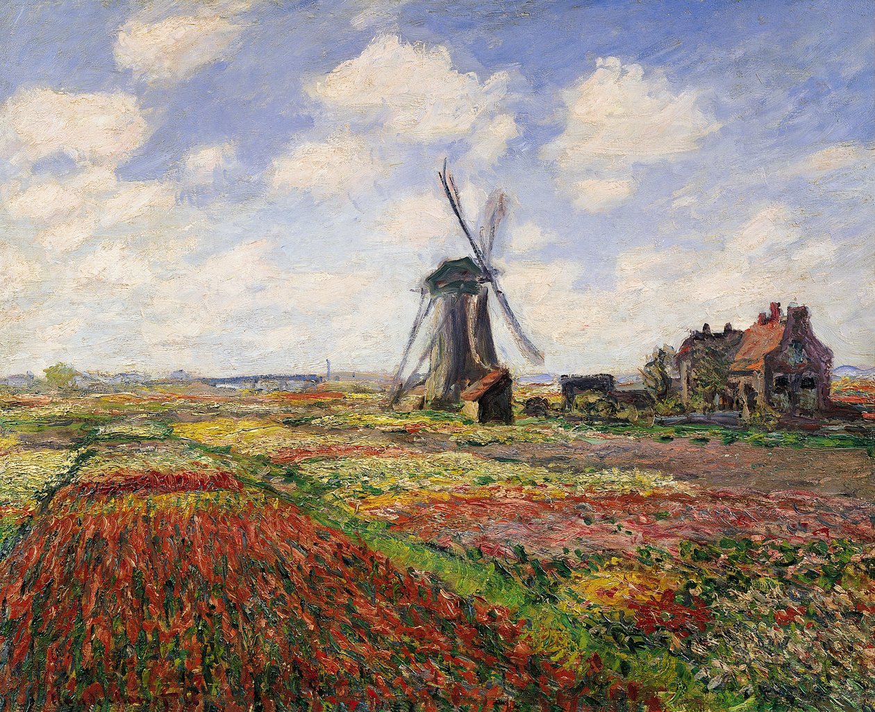 Tulppaanipellot ja Rijnsburgin tuulimylly, 1886 tekijältä Claude Monet