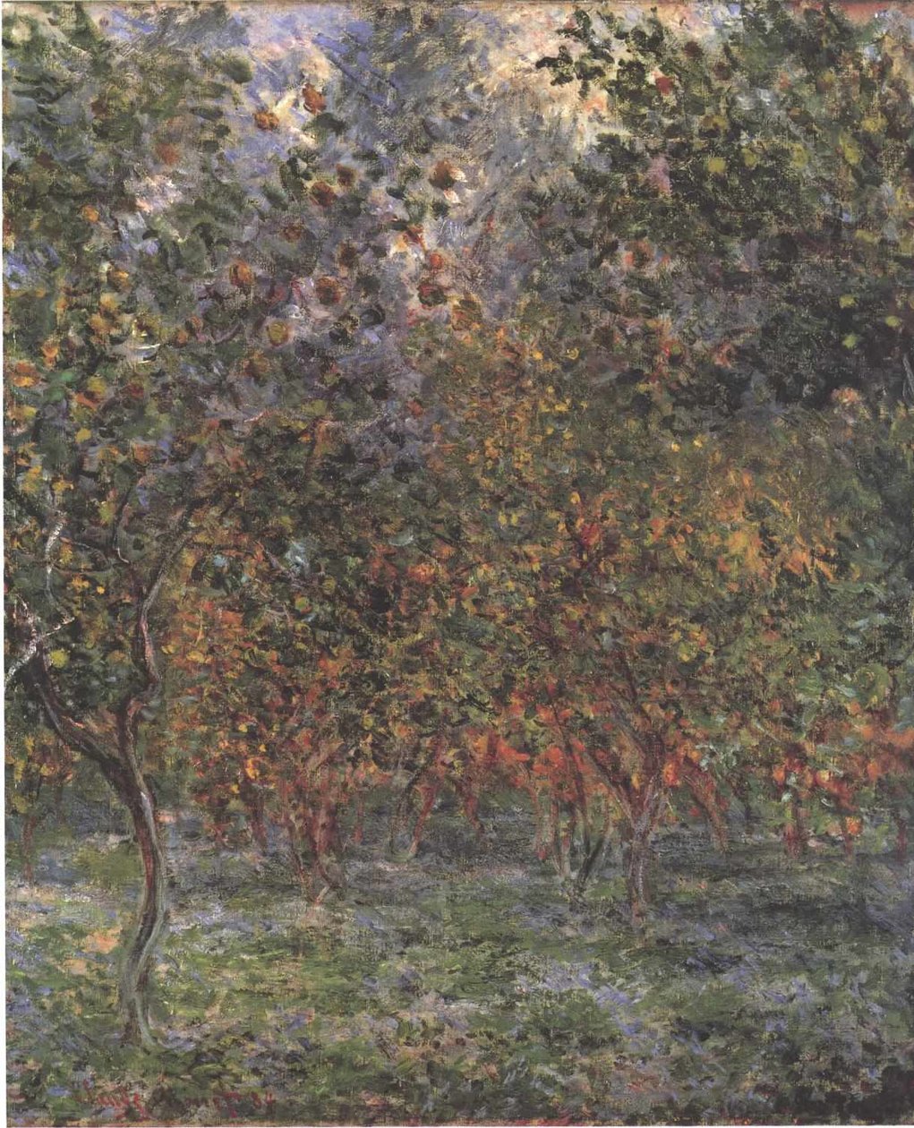 Unter Zitronenbäumen tekijältä Claude Monet