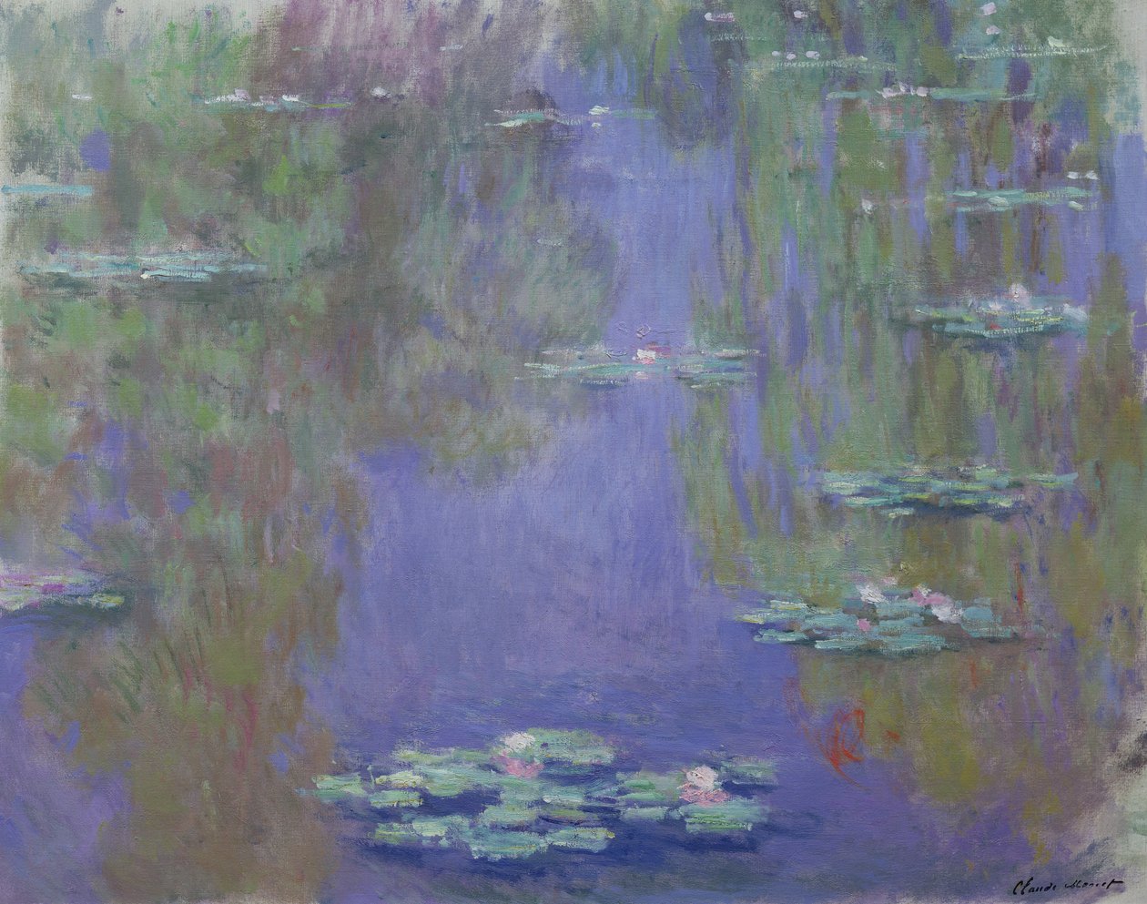 Lummet, 1903 tekijältä Claude Monet
