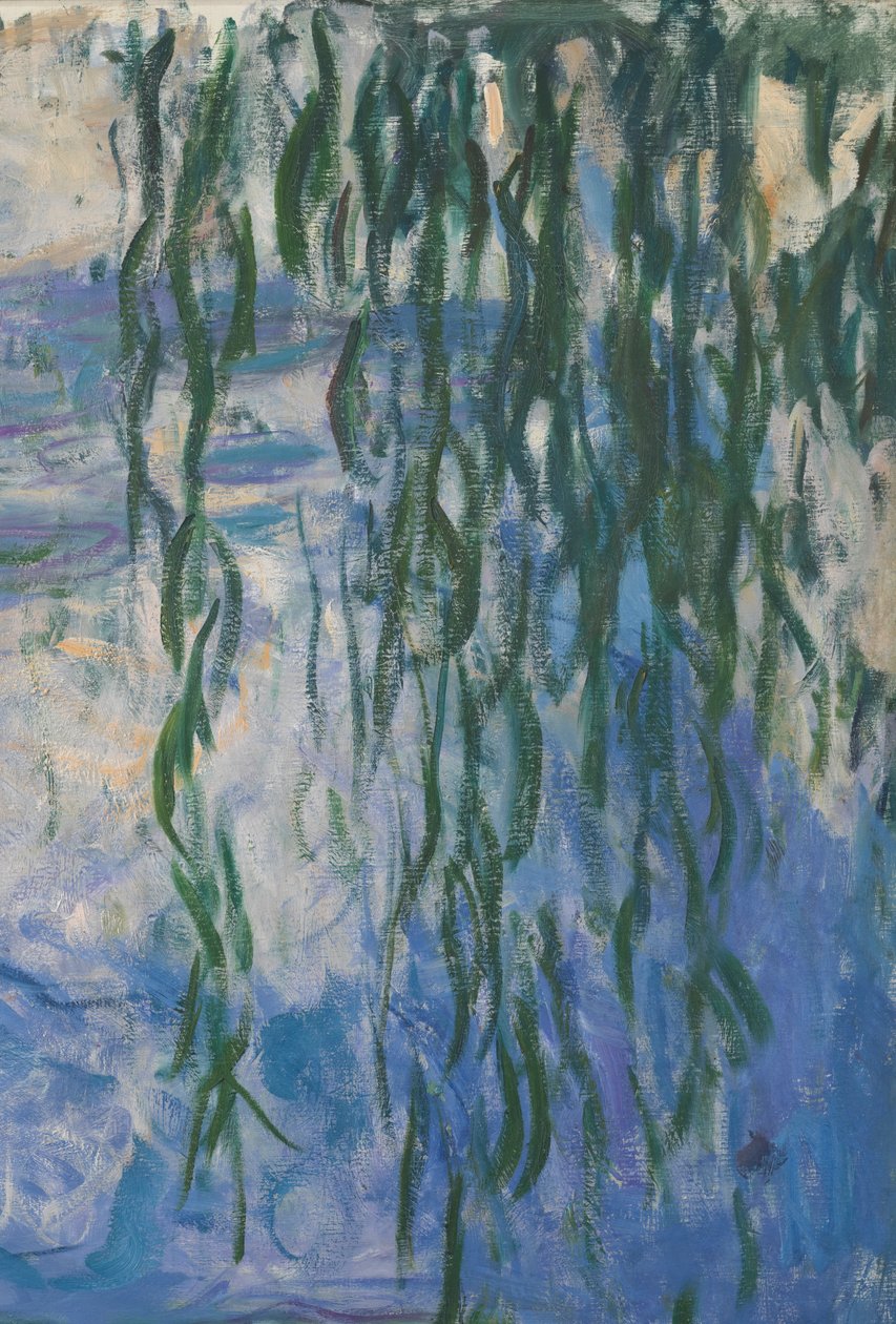 Lummet, 1916-1919 öljy kankaalle, yksityiskohta 161015 tekijältä Claude Monet