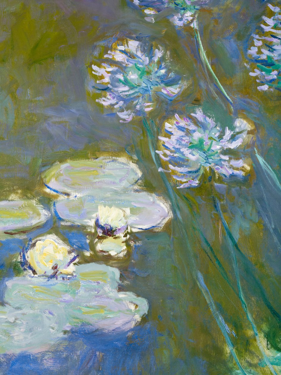 Lummet ja agapanthus, 1914-17 yksityiskohta 82323:sta öljy kankaalle tekijältä Claude Monet