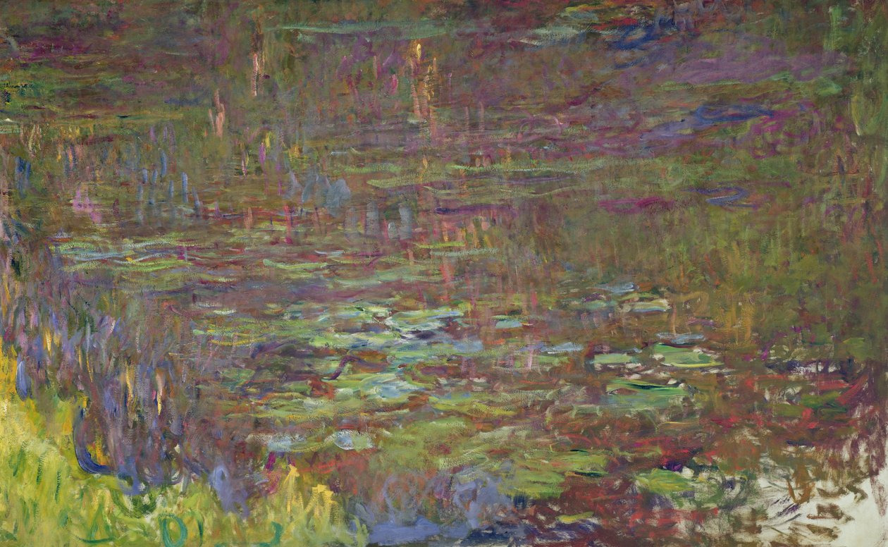 Lummet auringonlaskun aikaan, yksityiskohta oikealta, 1915-26 tekijältä Claude Monet