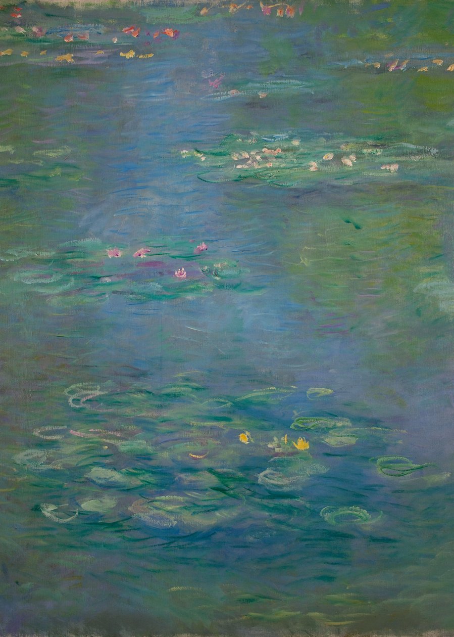 Lummet, yksityiskohta, 1903 (katso myös 160198) tekijältä Claude Monet