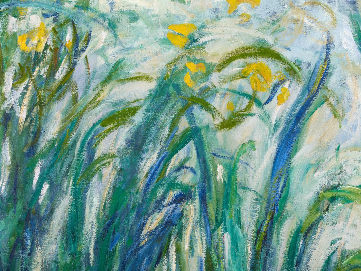 Keltaiset ja violetit iirikset, 1924-25 yksityiskohta 169490 öljy kankaalle tekijältä Claude Monet