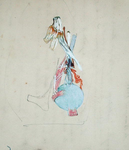 Hermosto kissan päässä, 25. toukokuuta 1842 (lyijykynä ja akvarelli paperille). tekijältä Claude Bernard
