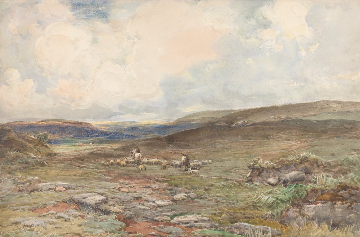 Moorland lampaiden ja paimenten kanssa tekijältä Claude Hayes