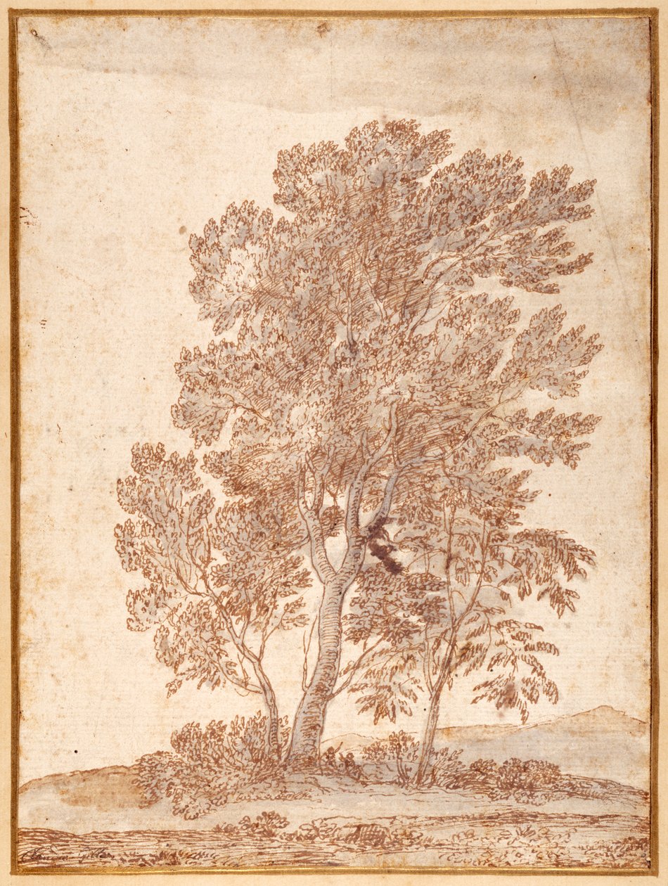 Kolme puuta (kynä ja ruskea muste, harmaa tussi paperille) tekijältä Claude Lorrain