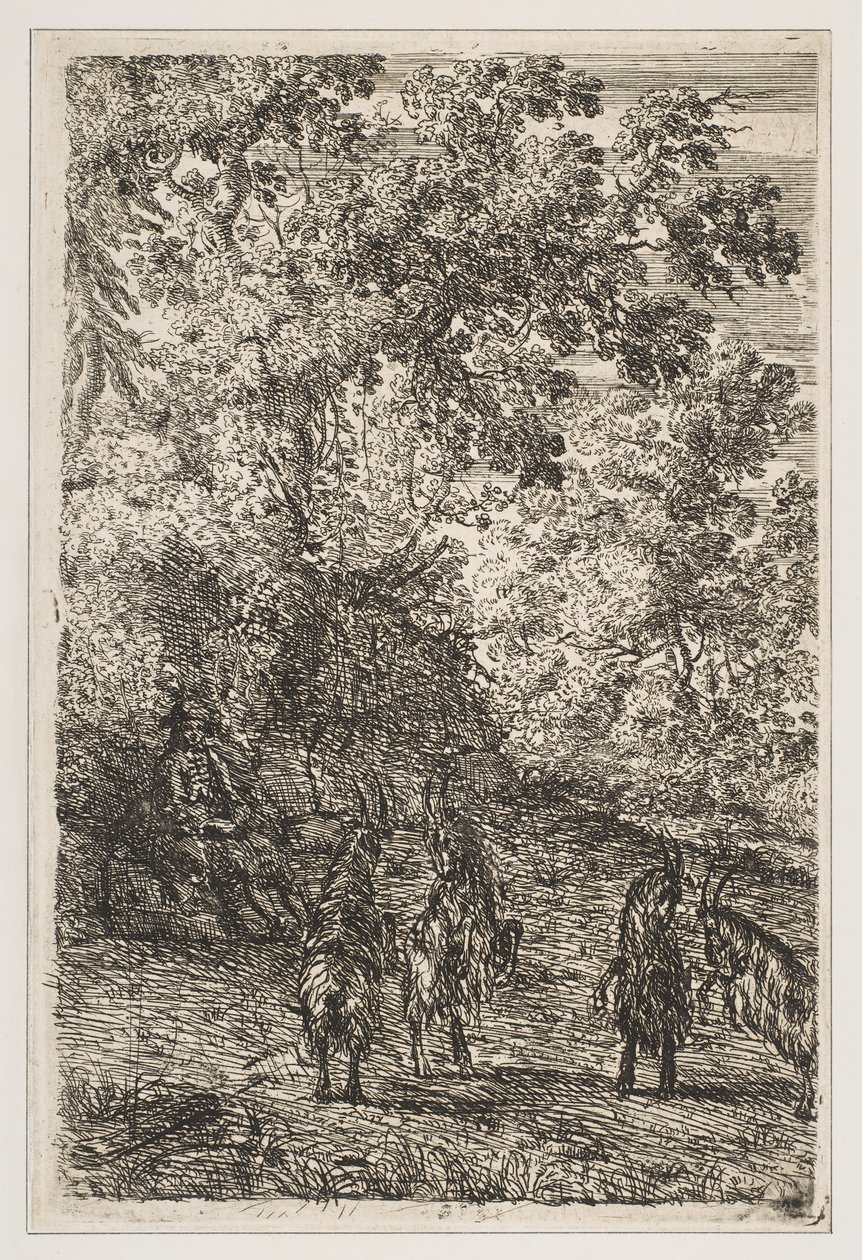 Neljä vuohetta Vuohien vasen osa, n. 1630-33. tekijältä Claude Lorrain