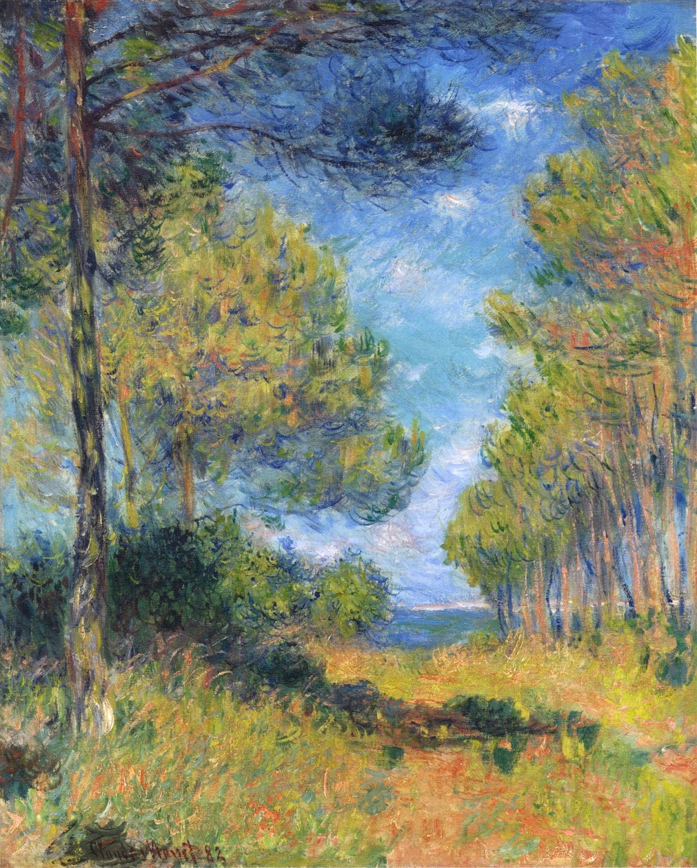 Ranska: Allée de sapins à Varengeville
Saksa: Tannenallee in Varengeville in Varengeville tekijältä Claude Monet