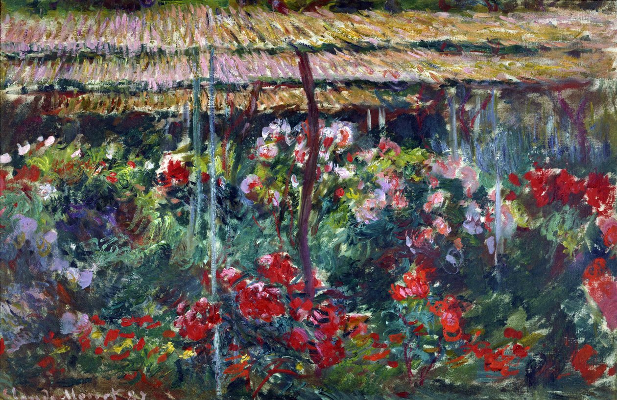 Pionien puutarha. (Maalaus, 1887) tekijältä Claude Monet