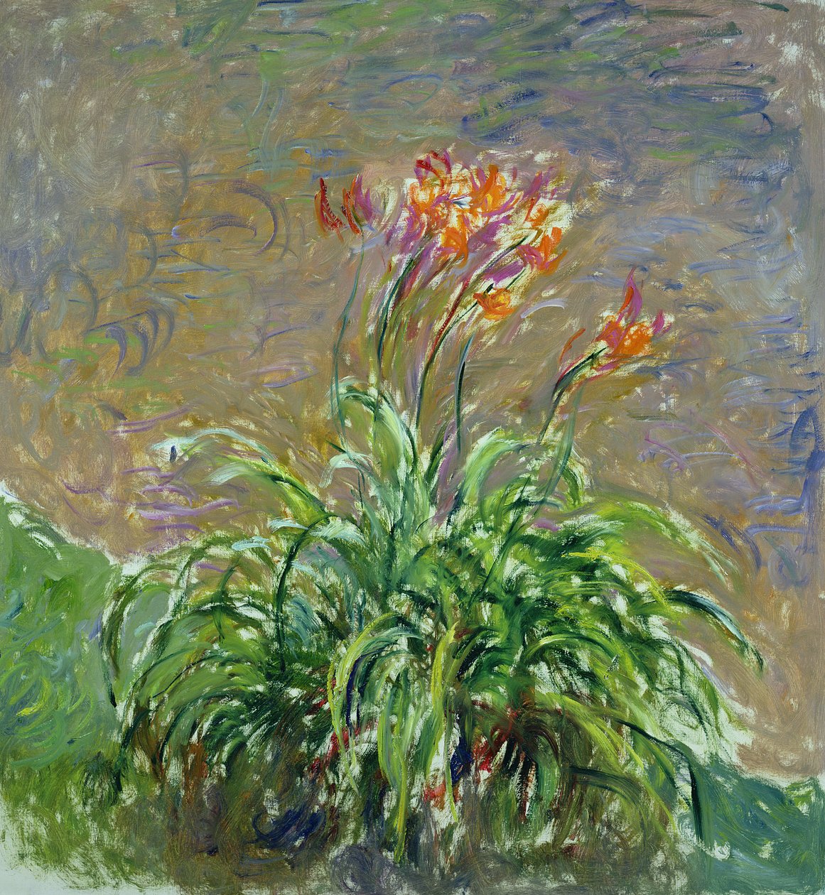 Hemerocallis, 1914-17 tekijältä Claude Monet