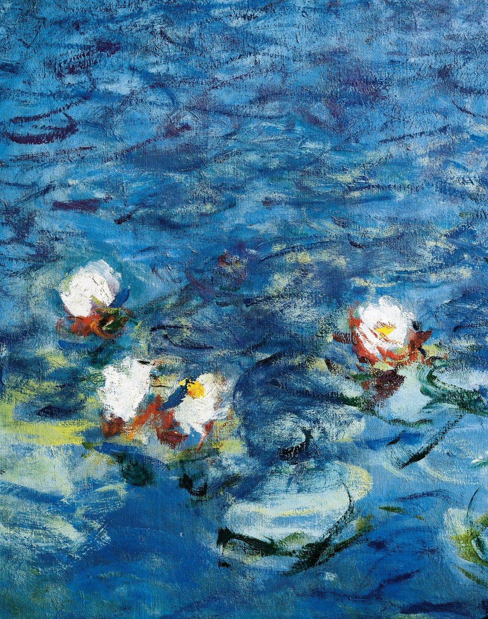 Vesililjat: Aamu tekijältä Claude Monet